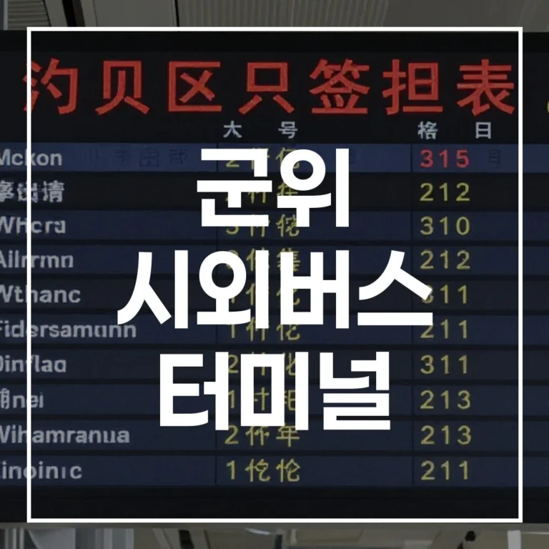 2026 군위 시외버스 터미널 설날 예매 전쟁, 시간표 확인부터 맛집, 주차까지 이 글 하나로 끝!