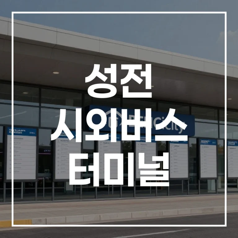 성전 터미널 설 명절 예매 시간표 맛집 주차 팁