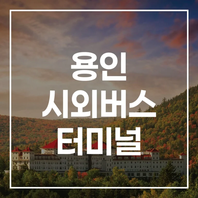 용인 시외버스 터미널: 설날 예매, 시간표, 맛집, 주차 꿀팁