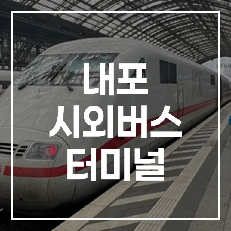 2026 설날 귀성길, 내포 시외버스 터미널 총정리!