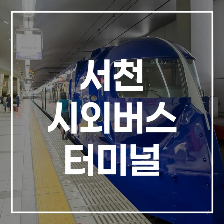 2026 서천 시외버스 터미널: 예매, 시간표, 맛집