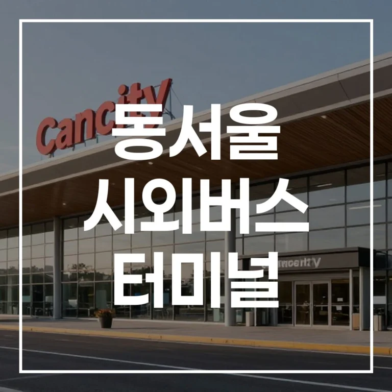 동서울 시외버스 터미널 설 예매, 시간표 총정리 비법