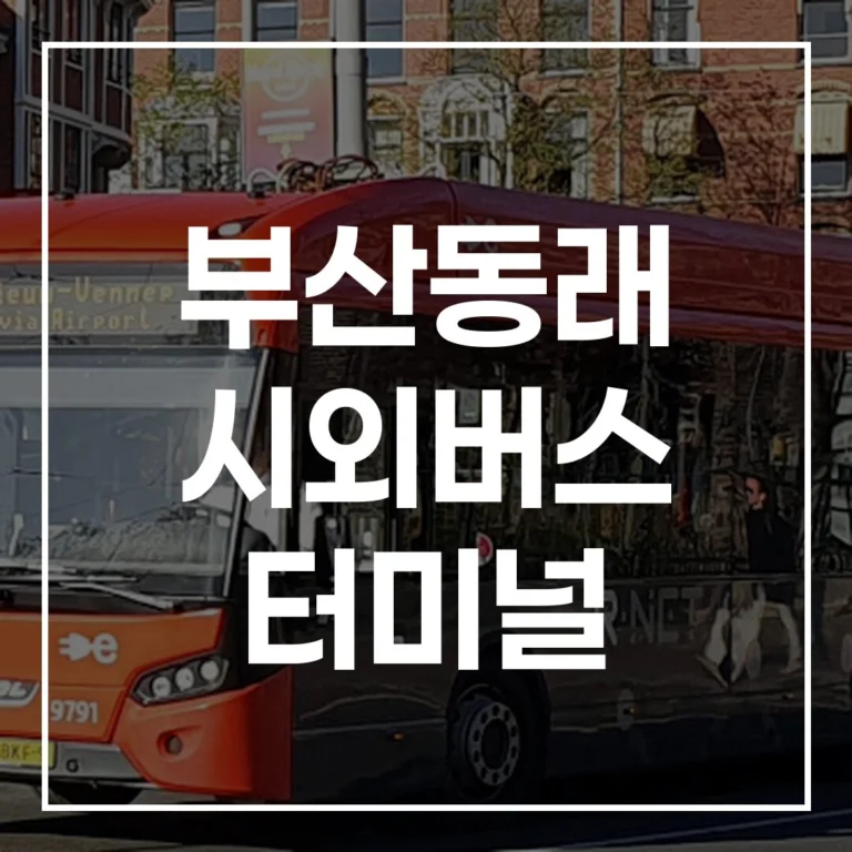 부산동래 시외버스 터미널 설날 예매, 시간표, 맛집, 주차 꿀팁