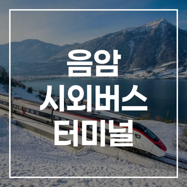 2026년 설 명절 음암 시외버스 터미널 완벽 공략법