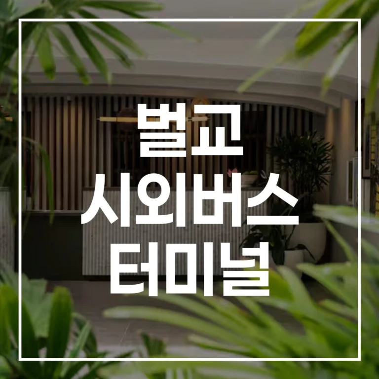 2026년 설 추석 명절 완벽 대비 벌교 시외버스 터미널 예매부터 맛집 주차 정보까지