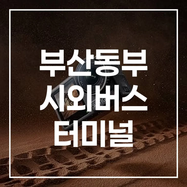 부산동부 시외버스 터미널 명절 귀성 가이드