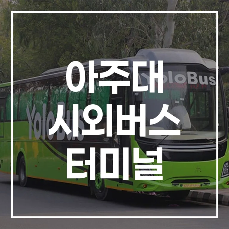 아주대 시외버스 터미널: 명절 예매, 시간표, 맛집 완벽 정리