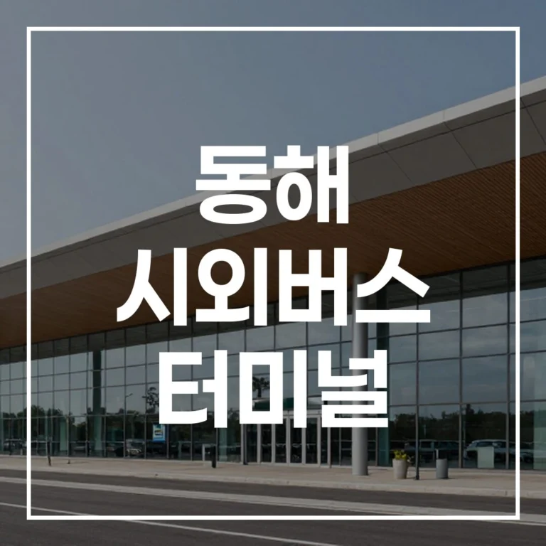 2026 설 동해 시외버스 터미널 예매 시간표 맛집 주차 총정리