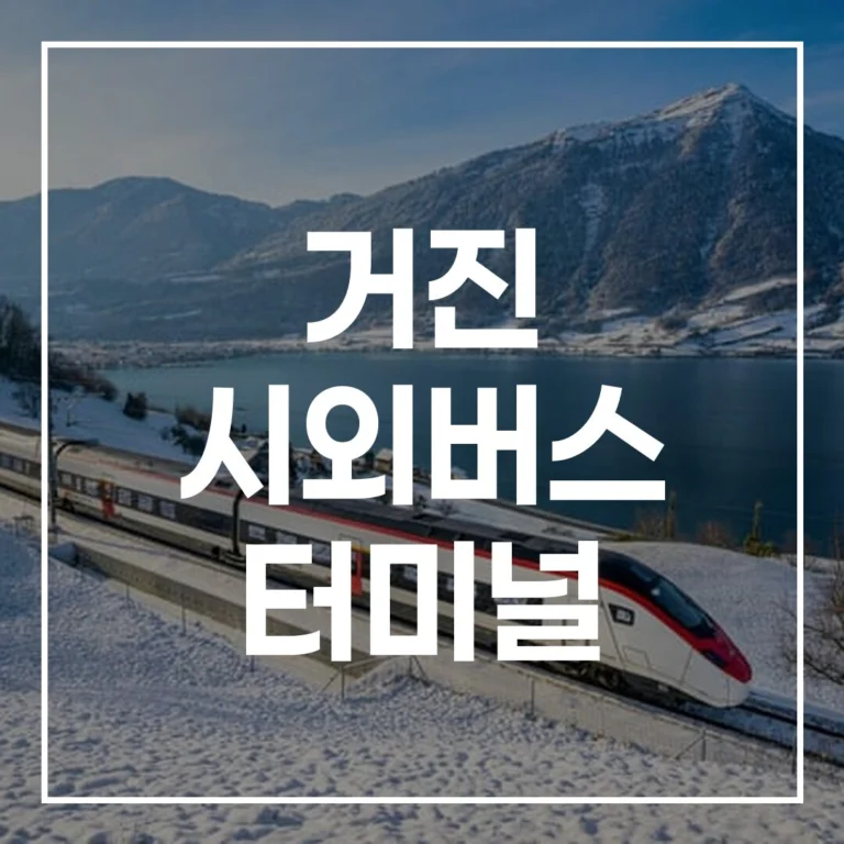 [거진 터미널 설날 예매] 2026년 귀성길 전쟁 끝! 시간표, 맛집, 주차 정보 완벽 가이드