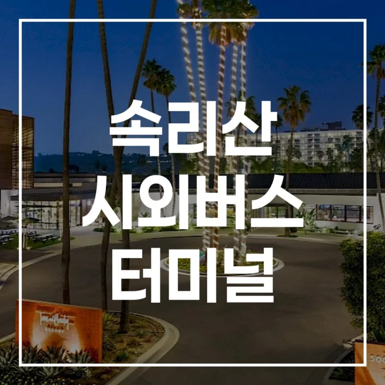 속리산 터미널 설날 예매 시간표 맛집 주차 꿀팁