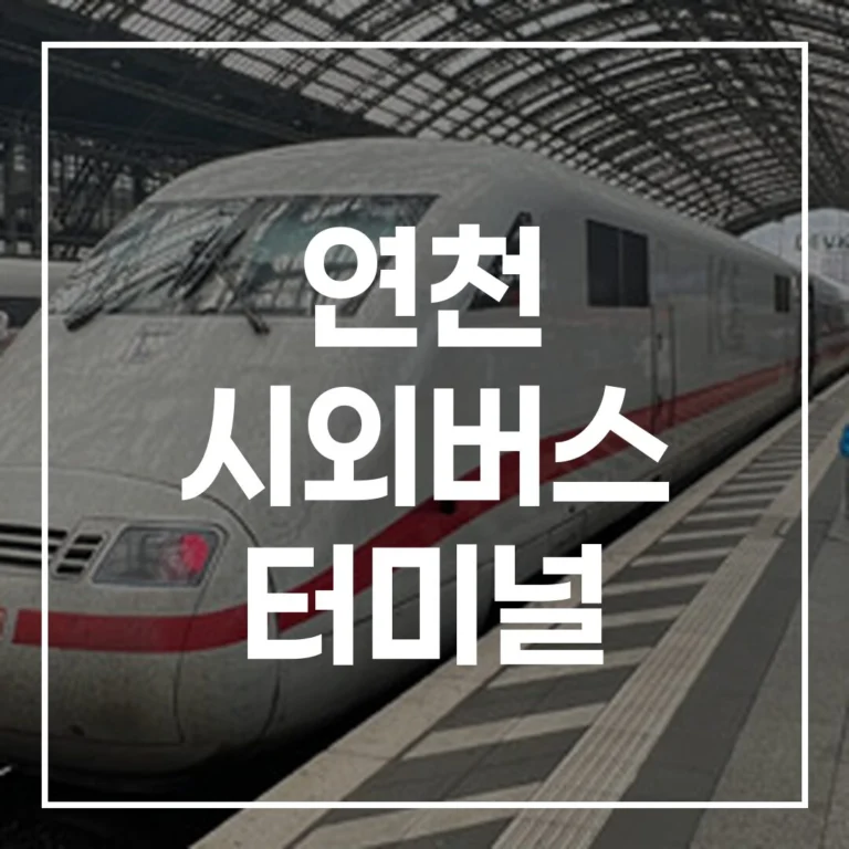 2026 설날 연천 시외버스 터미널 예매 시간표 맛집 주차 총정리