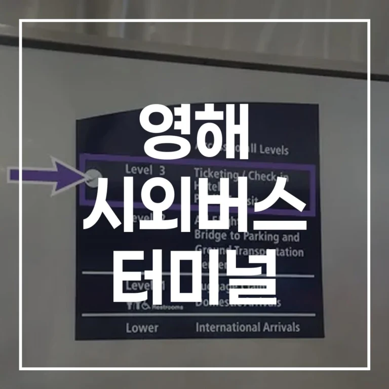 영해 시외버스 터미널 설날 귀경길 예매 시간표 맛집 주차