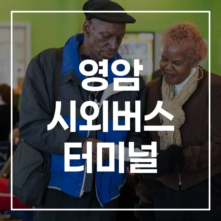 영암 시외버스 터미널: 명절 귀경 완벽 가이드