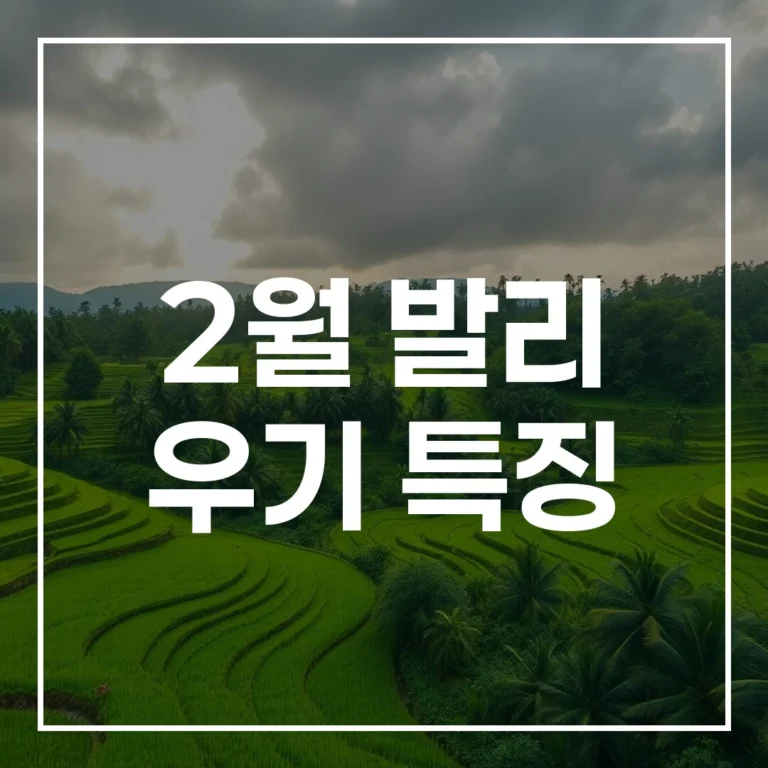 2월 발리 우기 특징: 비 피해 없이 즐기는 완벽 가이드