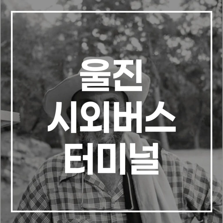 2026년 설날 울진 시외버스 터미널: 예매, 시간표, 맛집, 주차