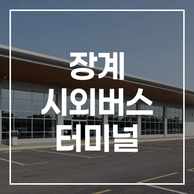 2026 장계 시외버스 터미널 설날: 예매부터 주차까지