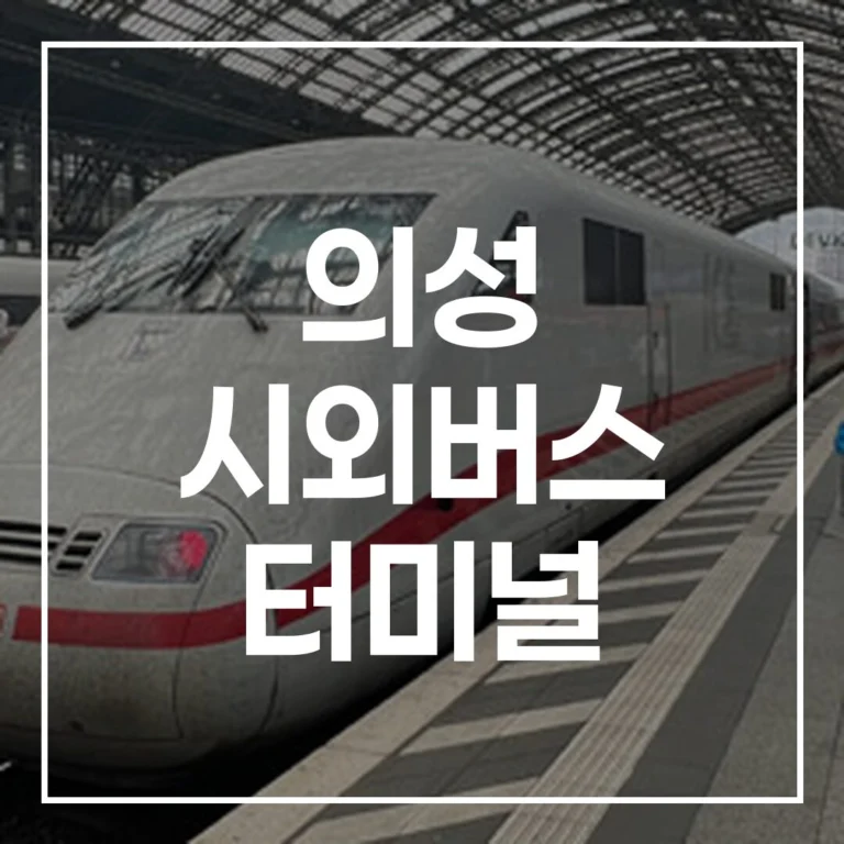 의성 시외버스 터미널 설날 예매 시간표 주차 꿀팁