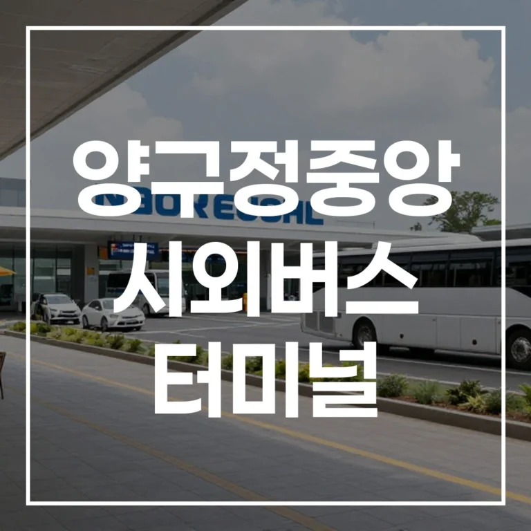 양구정중앙 시외버스 터미널 명절: 예매 주차 맛집 총정리