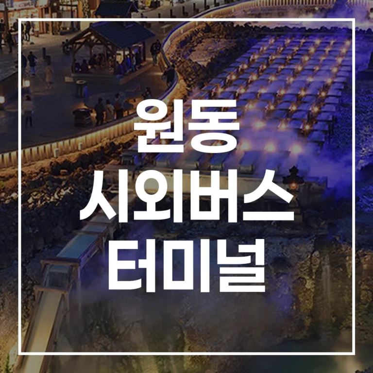 2026 설 완도 터미널 총정리: 예매, 시간표, 맛집, 주차, 원동 시외버스 터미널