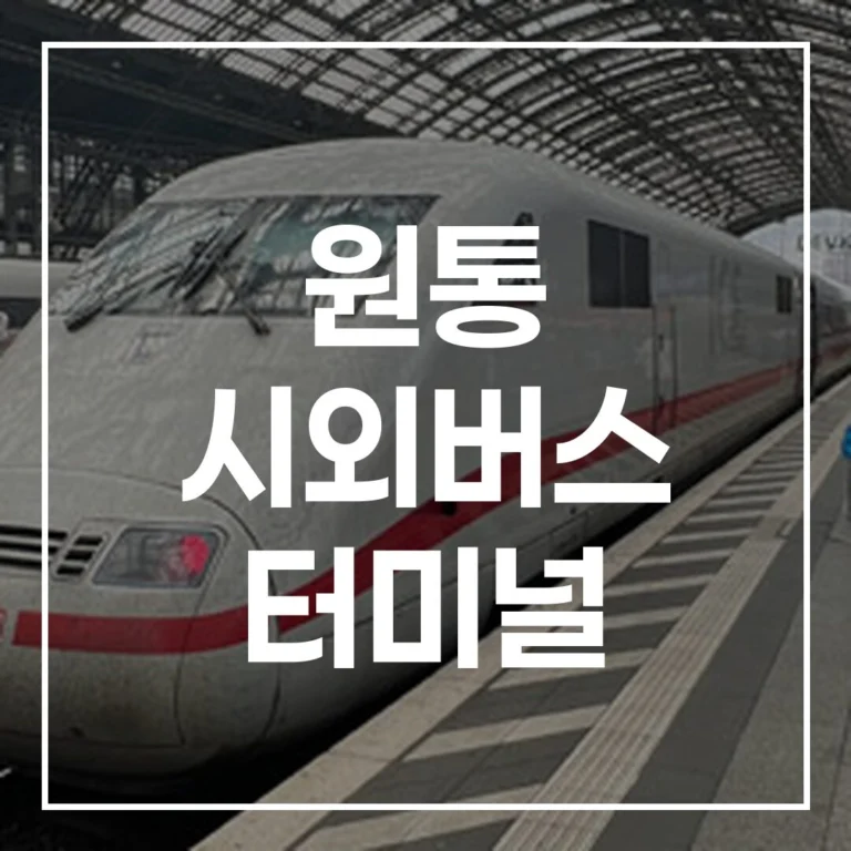 원통 시외버스 터미널 설날 예매 시간표 맛집 주차 총정리