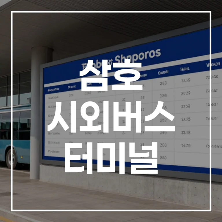 삼호 터미널 설날 예매, 아직도 안 했어요? 시간표, 맛집, 주차 정보 완벽 가이드