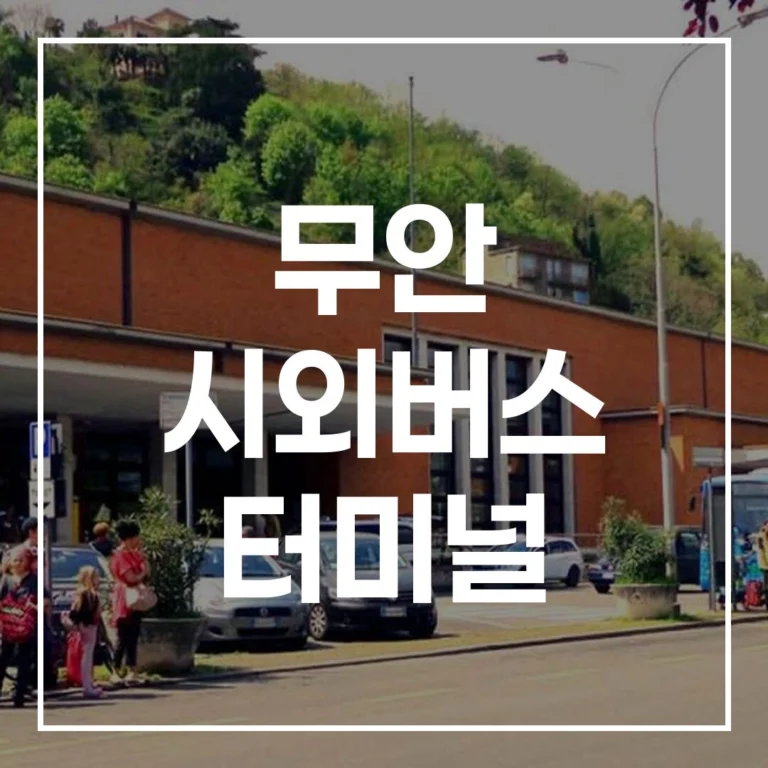 무안 시외버스 터미널 설 명절 예매 시간표 맛집 총정리