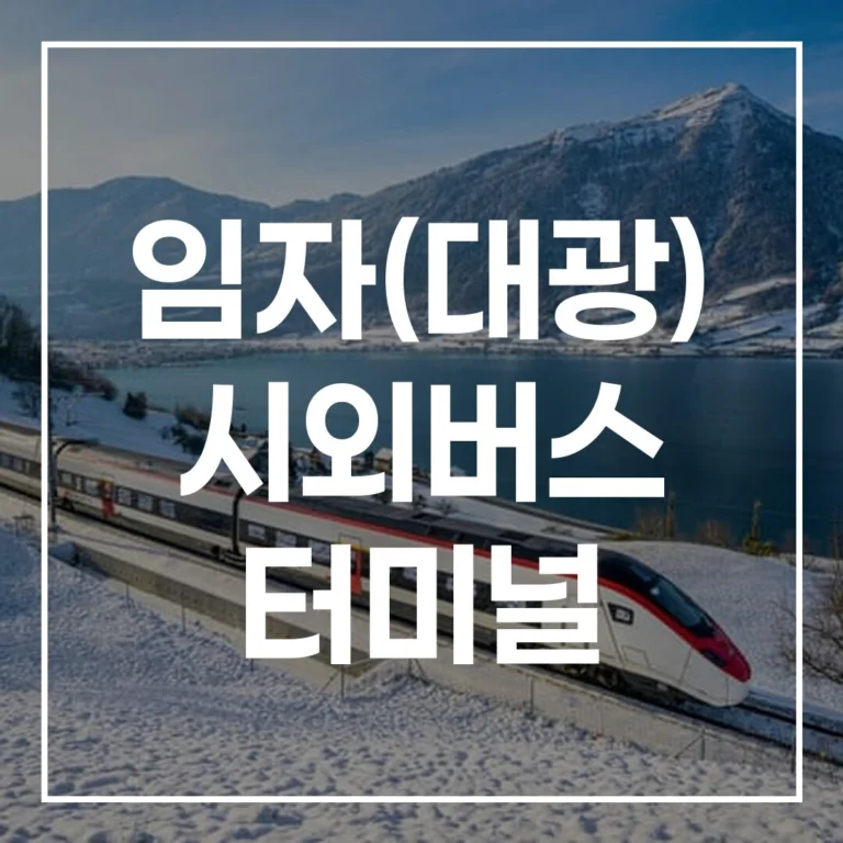 임자(대광) 시외버스 터미널: 설날 예매·시간표·맛집·주차 완벽정리