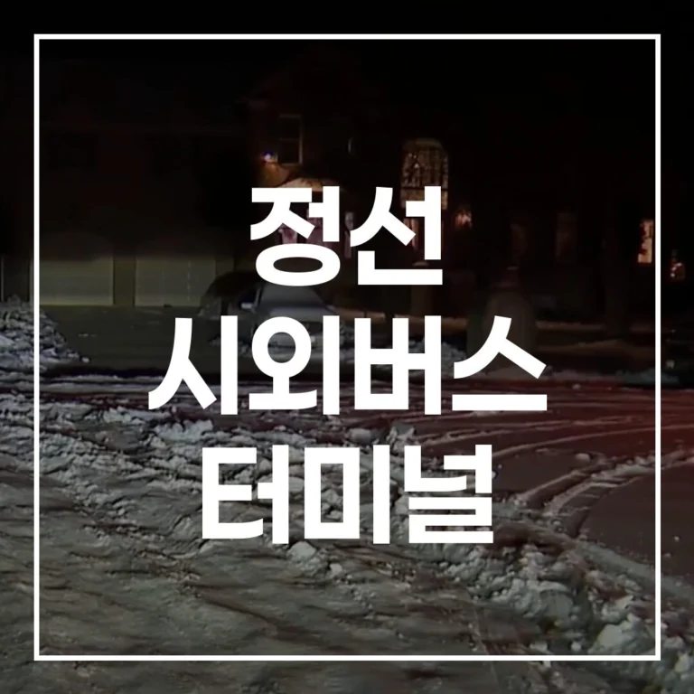 정선 시외버스 터미널 예매 시간표 맛집 주차 완벽 정리