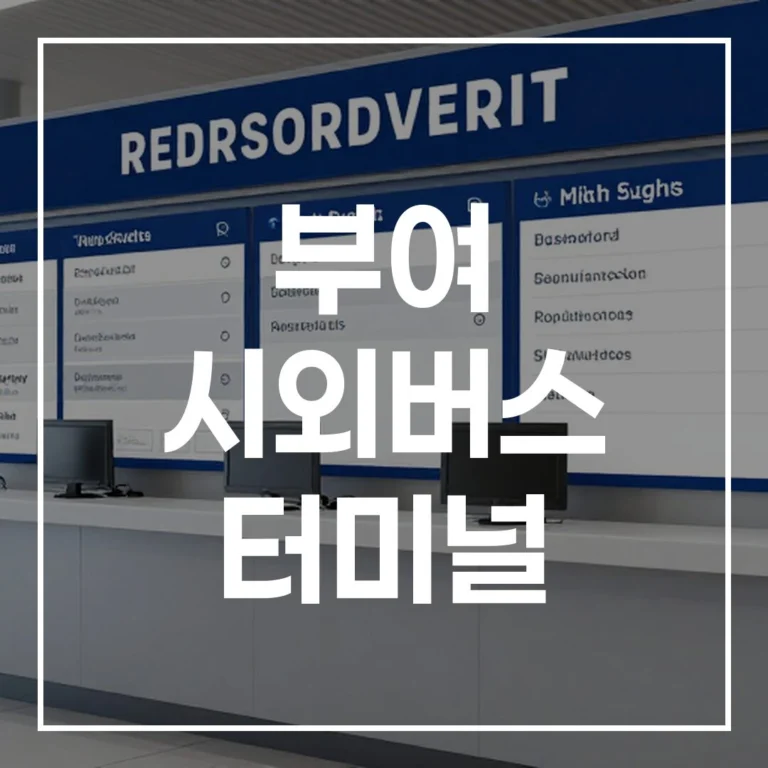2026 설 명절 부여 시외버스 터미널: 예매, 시간표, 주차, 맛집 정복
