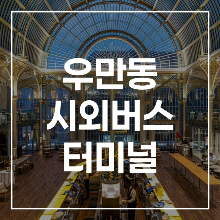 우만동 시외버스 터미널: 2026 설날 완벽 귀경 가이드