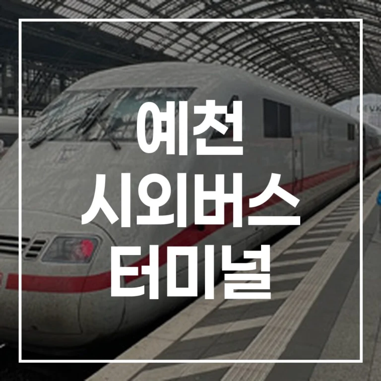 예천 시외버스 터미널 설날 예매 전쟁, 이 글 하나로 끝! 시간표, 맛집, 꿀주차 정보까지