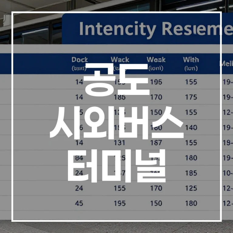 공도 시외버스 터미널 설날 예매, 시간표, 맛집, 주차 총정리