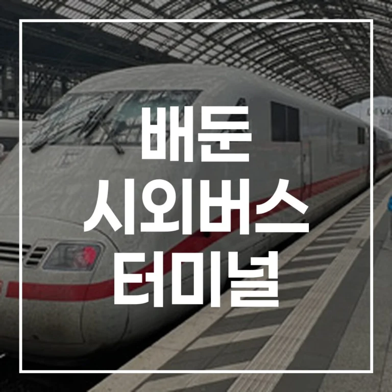 배둔 시외버스 터미널 설날 버스예매 이 글 하나로 끝!