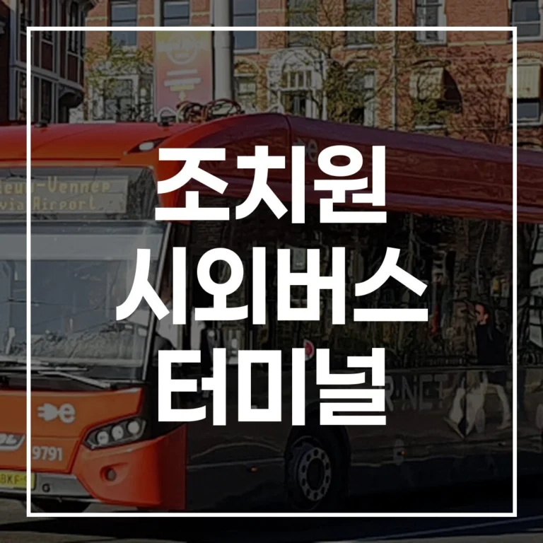 조치원 시외버스 터미널: 예매, 시간표, 맛집, 주차 완전 정복