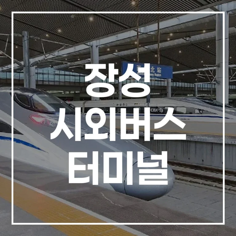 장성 시외버스 터미널 2026 명절: 예매, 시간표, 주차 팁