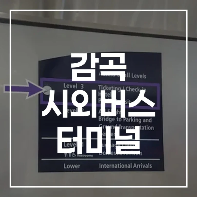 감곡 시외버스 터미널 설날 예매, 시간표, 주차, 맛집 총정리
