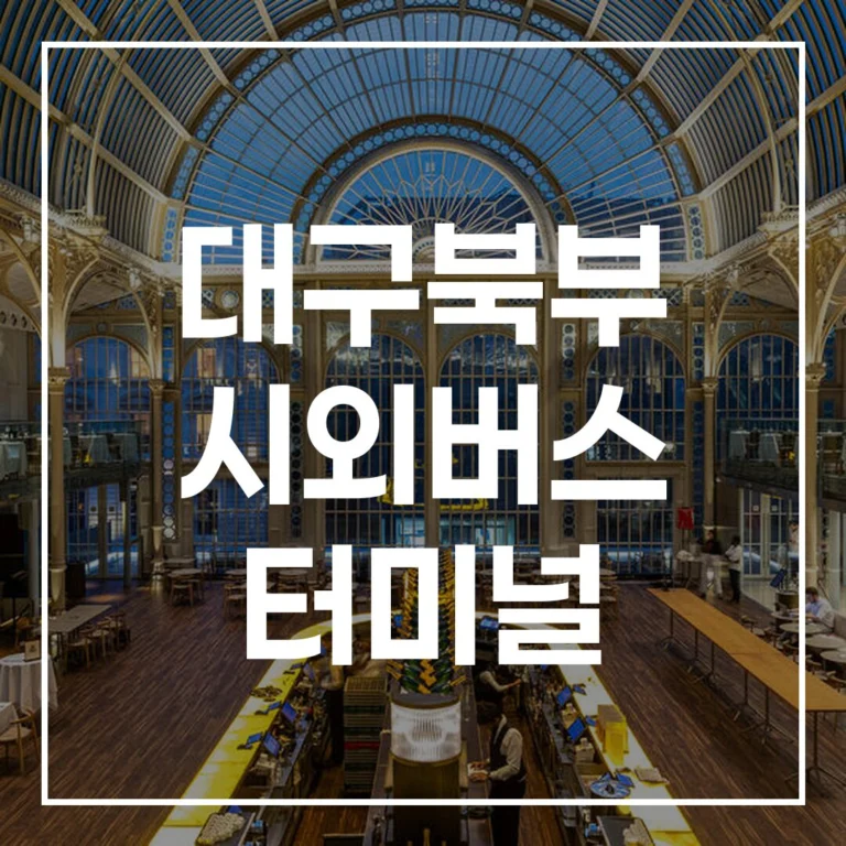 2026년 설, 대구북부 시외버스 터미널 예매, 시간표, 맛집, 주차
