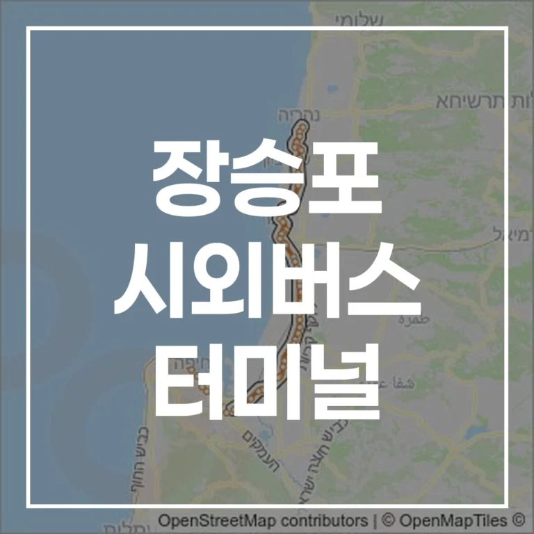 장승포 시외버스 터미널 설날 예매 시간표 맛집 주차