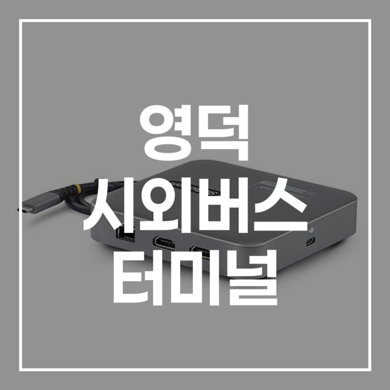 2026 명절 영덕 시외버스 터미널 예매부터 주차 꿀팁