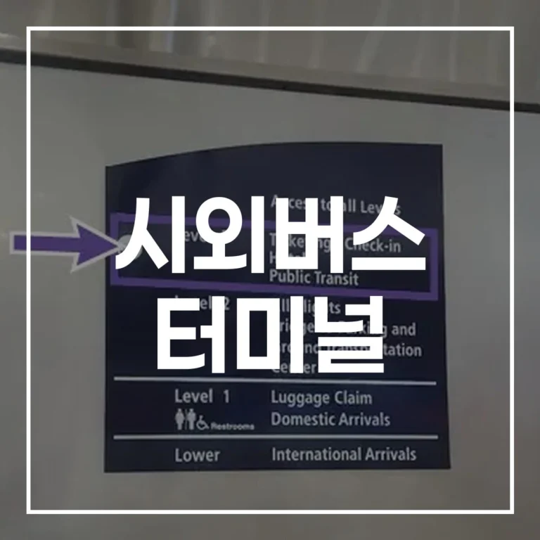시외버스 터미널 설날 예매·시간표·맛집·주차 총정리