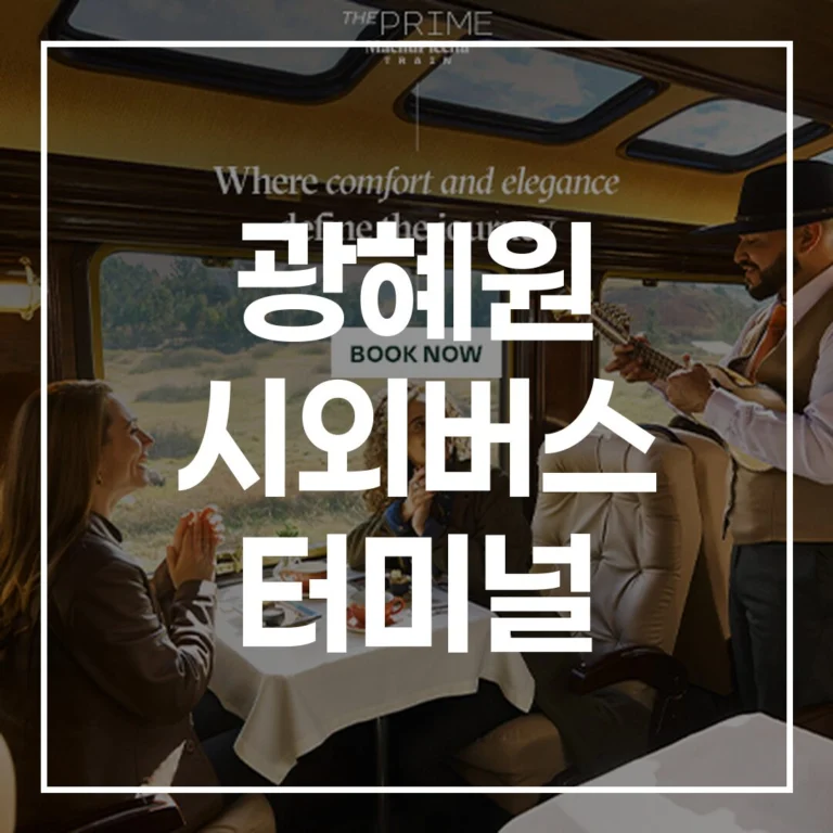 광혜원 시외버스 터미널 설날 예매 전쟁, 이 글 하나로 끝!