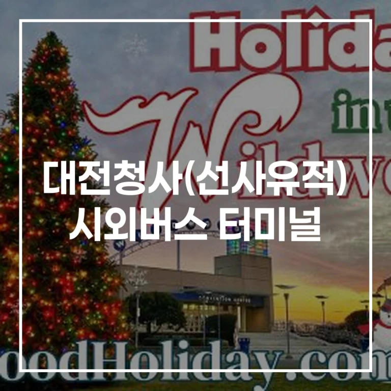 대전청사(선사유적) 시외버스 터미널 완벽 가이드
