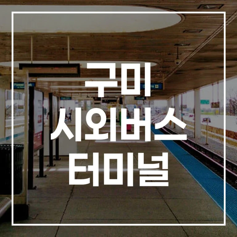 2026 설 구미 시외버스 터미널 예매 시간표 맛집 총정리