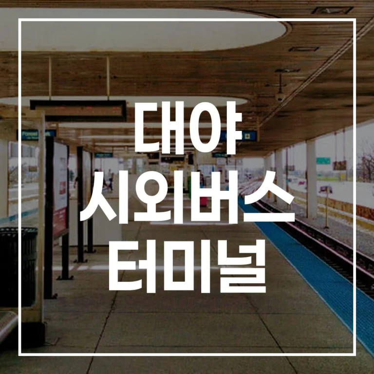 대야 시외버스 터미널 설날 예매 시간표 맛집 주차 총정리