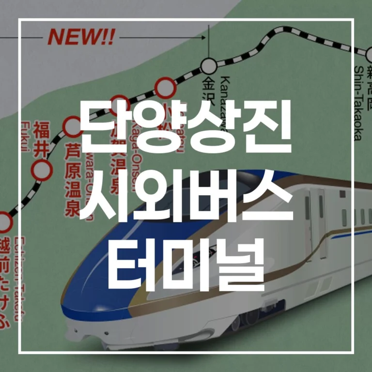단양상진 시외버스 터미널: 예매, 시간표, 맛집, 주차 총정리