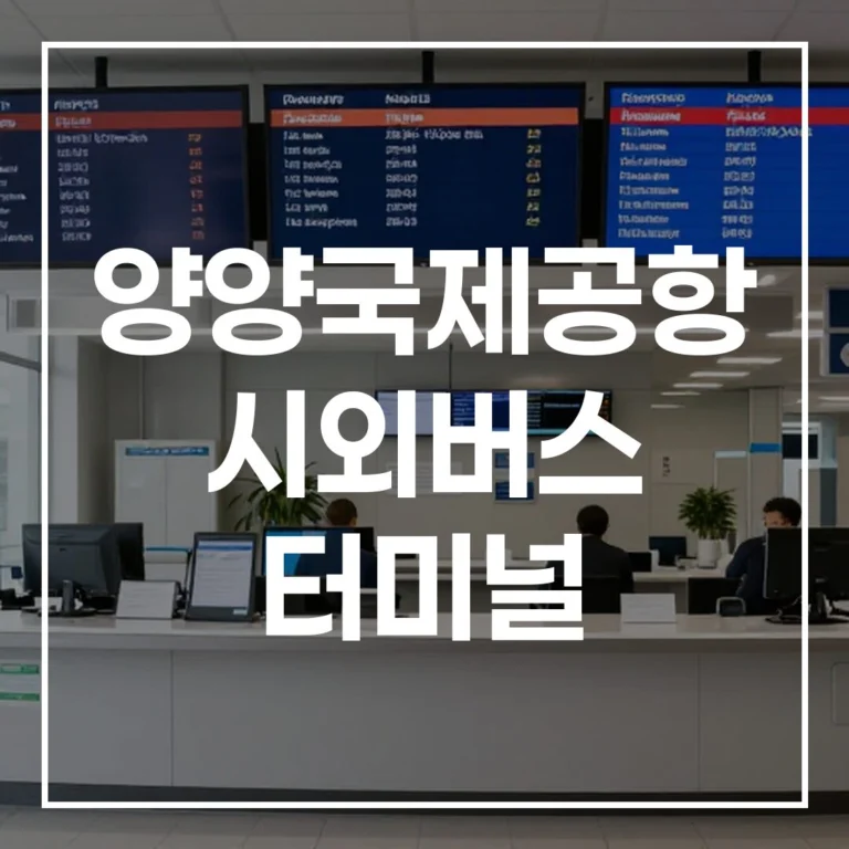 양양국제공항 시외버스 터미널 명절 귀성길 완전 정복
