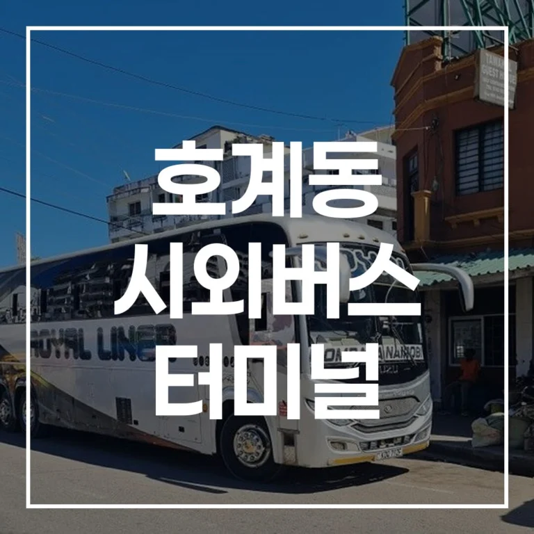 호계동 시외버스 터미널 설날 완벽 가이드: 예매 시간표 & 꿀팁