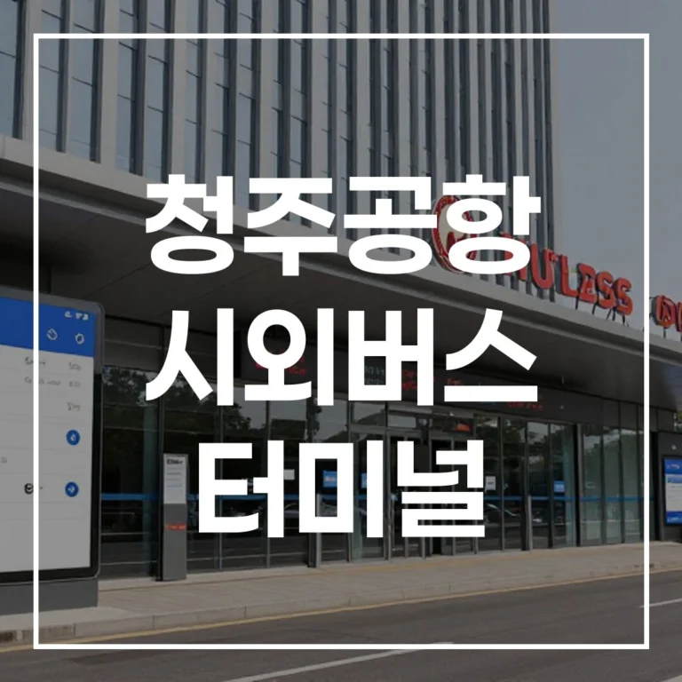 청주공항 시외버스 터미널 예매 전쟁, 2026년 설날/추석 시간표 확인하고 승리하는 비법!