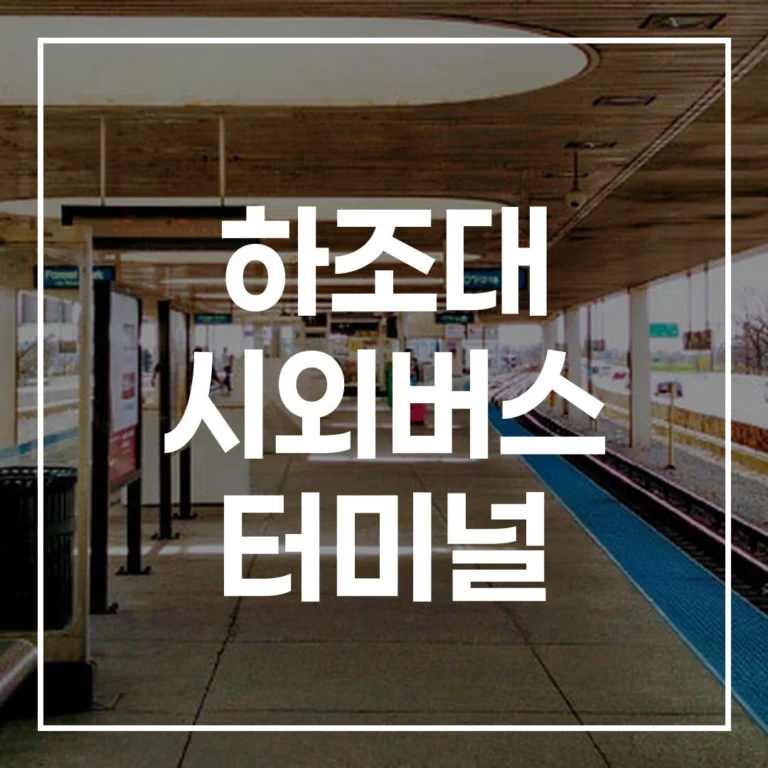 하조대 시외버스 터미널 설날 버스예매 시간표 & 노선 (2026 최신)