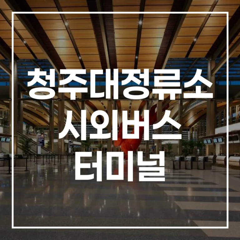 청주대정류소 시외버스 터미널 명절 귀성길 완벽 가이드